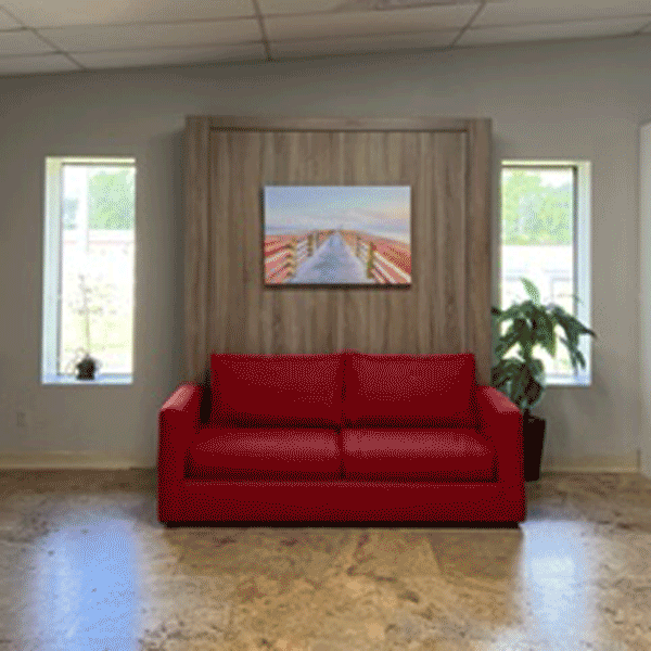 Sofa and Panel Bed Ensemble with a short GIF demo
